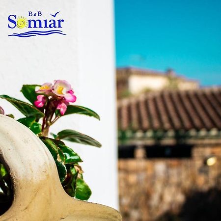 B&B Somiar 산테오도로 외부 사진